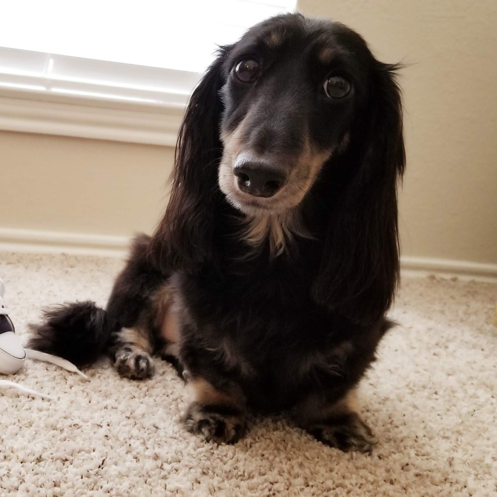 Meet your Posher, Jamie